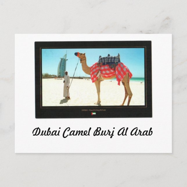 Dubai Camel Burj Al Arab Vykort (Framsida)