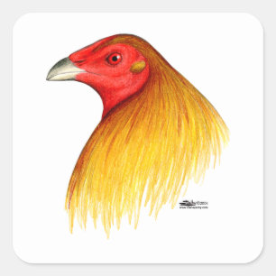 Dubbad Gamecock Fyrkantigt Klistermärke