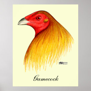 Dubbad Gamecock Poster