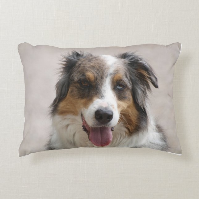 dubbel australisk shepherd merle prydnadskudde (Framsidan)
