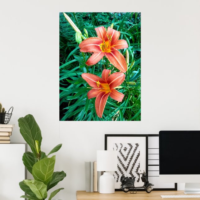 Dubbel Daglilja Orange Blomma Foto Tryck Poster (Hemmakontoret)
