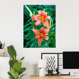 Dubbel Daylily Orange Blomma Foto Print Affisch