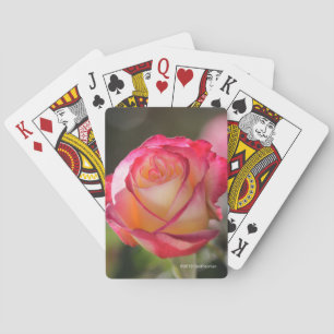 Dubbel fröjd steg casinokort