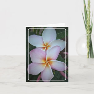 Dubbel Halo Plumeria Vikter Lyckönskningskort Kort
