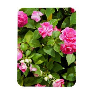 Dubbel Impatiens böjlig magnet