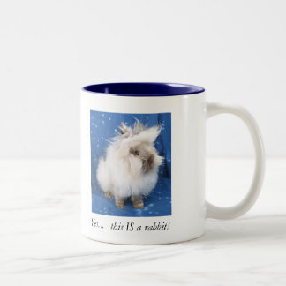 Dubbel Lionhead mugg