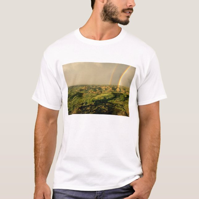 Dubbel regnbåge över Painted Canyon i Theodore T-shirt (Framsida)