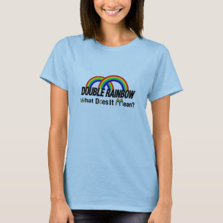 dubbel regnbåge - vad betyder den? t-shirt