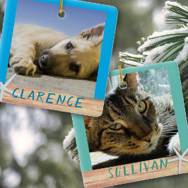 Dubbel Sided Pet Fotos Sjöborre Keramik Ornament