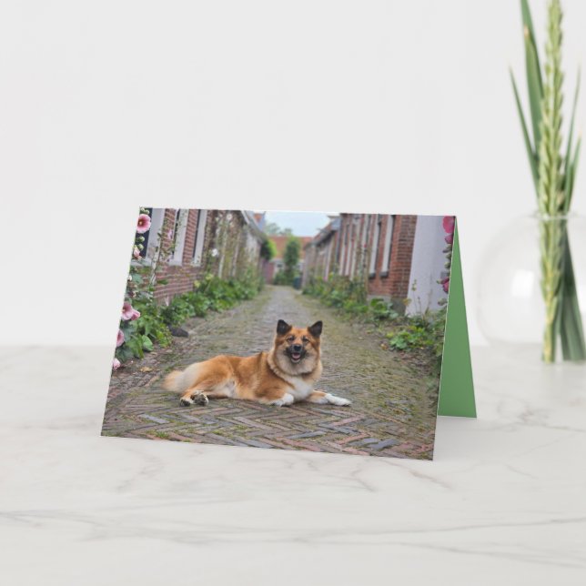 Dubbele wenskaart kort (Framsida)