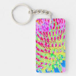 Dubbelfärgad Abstrakt för regnbåge, kolv