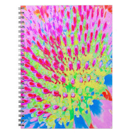 Dubbelfärgad Abstrakt för regnbåge, kolv Anteckningsbok