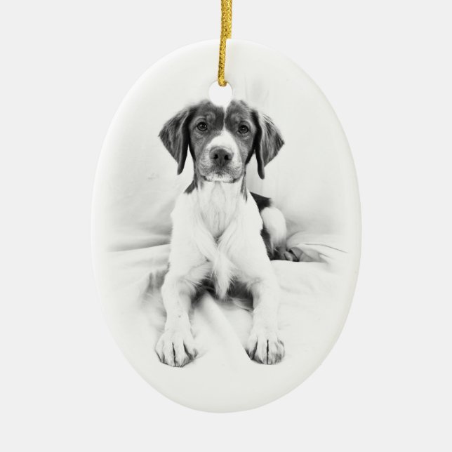 Dubbelsidig Brittany prydnad Julgransprydnad Keramik (Framsidan)