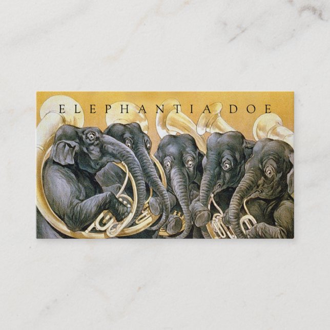 Dubbelsidig partyPlanner Visitkort (Framsida)