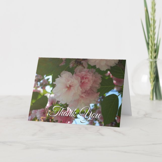Dubbelt blommande körsbärsträd I vårblomma Tack Kort (Framsida)