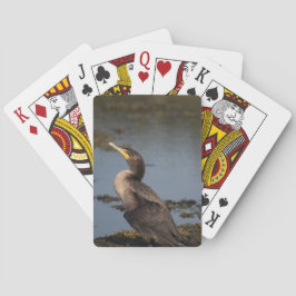 Dubbeltofskormoran Casinokort