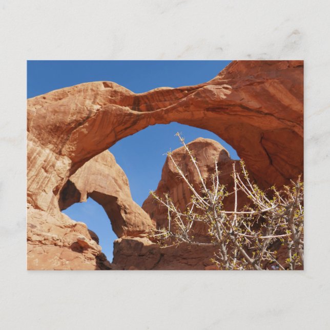 Dubbelvalvet i Arches National Park Vykort (Framsida)