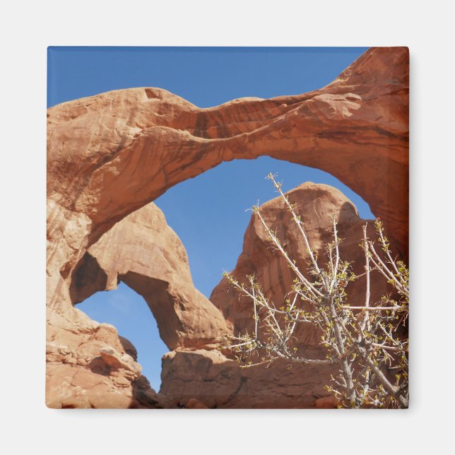 Dubbelvalvet i Arches nationalpark Magnet (Framsidan)
