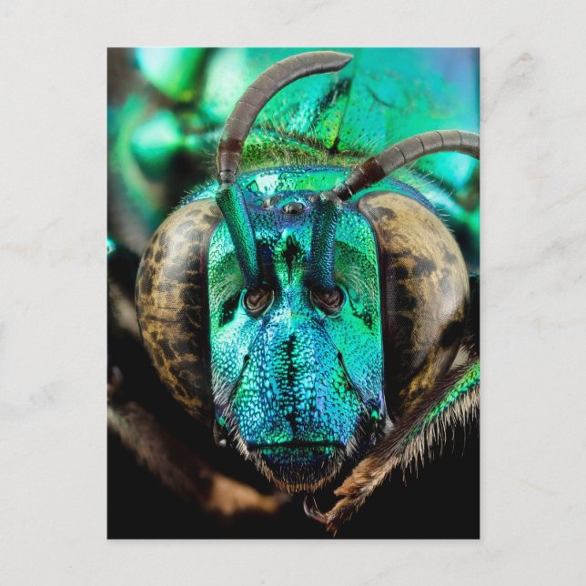 Dubbelvänd binärmning vykort (Framsida)