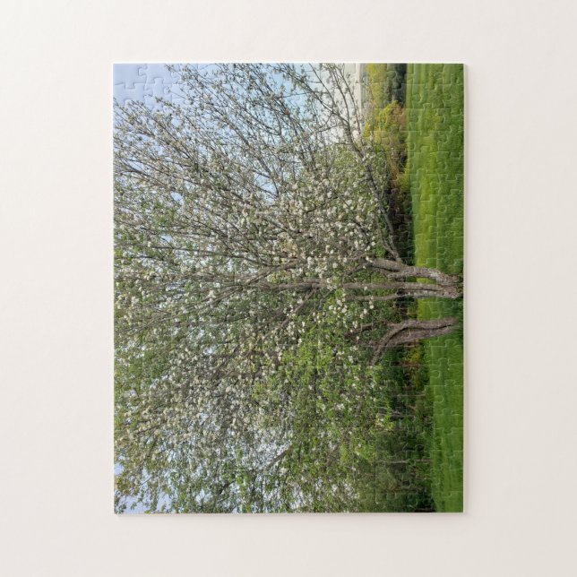 dubbla äpple blommar träd pussel (Vertikal)