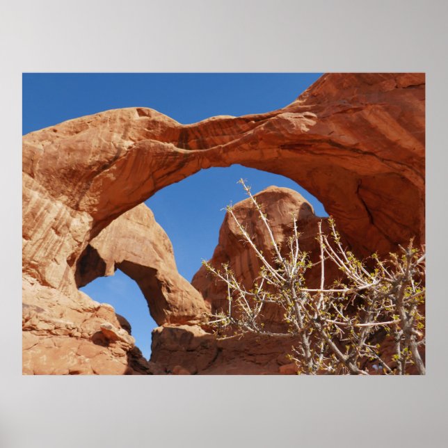 Dubbla Arch i Arches nationalpark Poster (Framsidan)