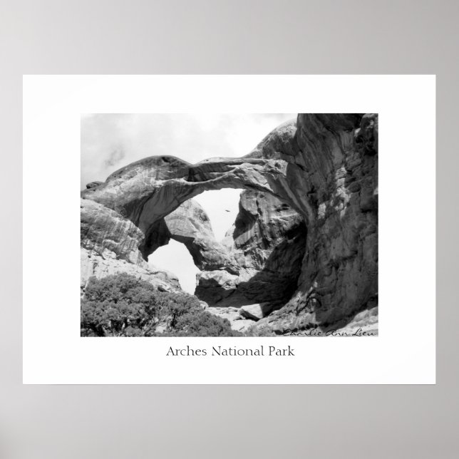 Dubbla Arch Poster (Framsidan)