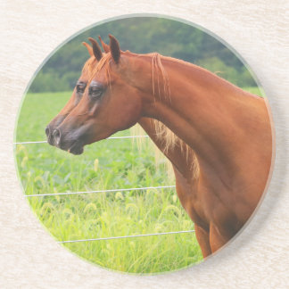 Dubbla avbildar kustfartyget för BOGO Colts Underlägg