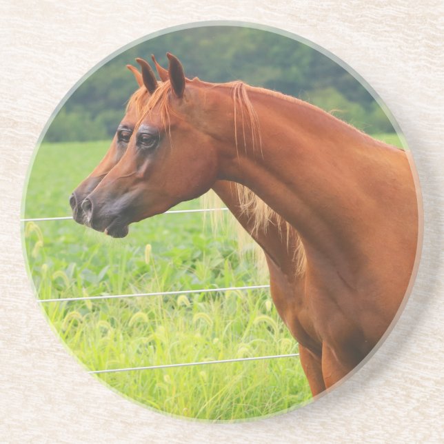 Dubbla avbildar kustfartyget för BOGO Colts Underlägg (Framsidan)