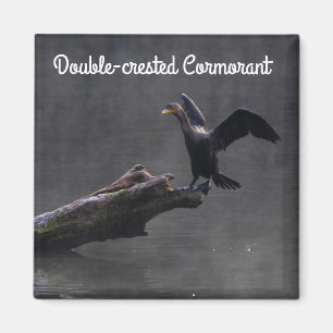 Dubbla-belagd skarv magnet