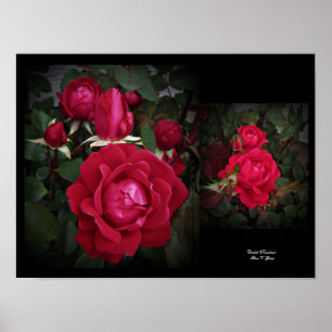 Dubbla Blockout Red Shrub Ro Wall Art by Stan VG Poster