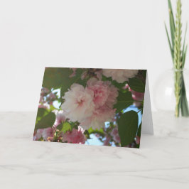 Dubbla Blossoming Cherry Träd I Vår Blommigt Kort