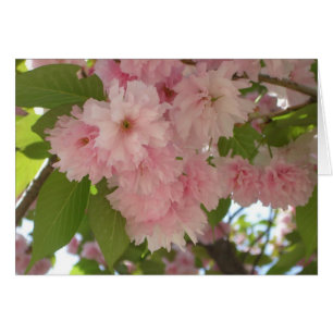 Dubbla Blossoming Cherry Träd II Vår Blommigt Hälsningskort
