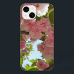 Dubbla Blossoming Cherry Träd III Vår Blommigt<br><div class="desc">Här är den tredje i en serie dubbla som blommar körsbär träd bilder. Bild har kluster av fluffy,  rosa blommor och starkt blå himmel i bakgrunden. Kolla in vår affär för mer bilder av vackert blommande vår träd. Det här bild är också en widescreen-tapet på MLeWallpapers.com.</div>
