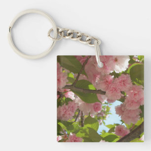 Dubbla Blossoming Cherry Träd III Vår Blommigt