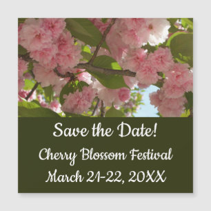 Dubbla Blossoming Cherry Träd III Vår Blommigt