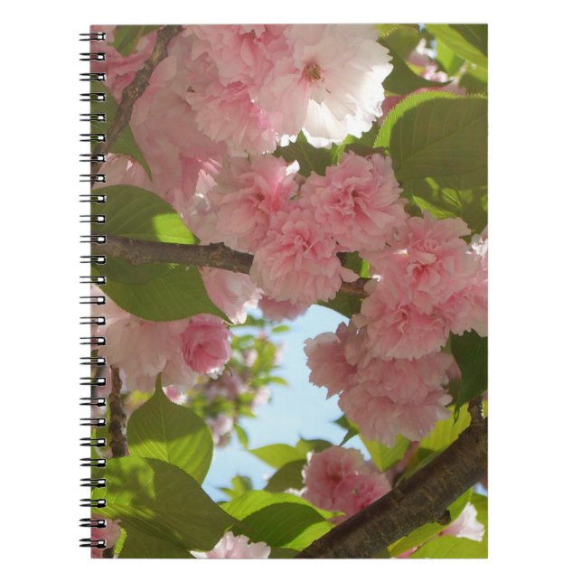 Dubbla Blossoming Cherry Träd III Vår Blommigt Anteckningsbok (Framsidan)