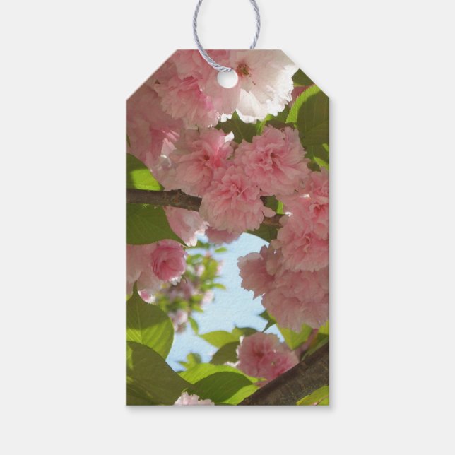 Dubbla Blossoming Cherry Träd III Vår Blommigt Presentetikett (Framsidan)