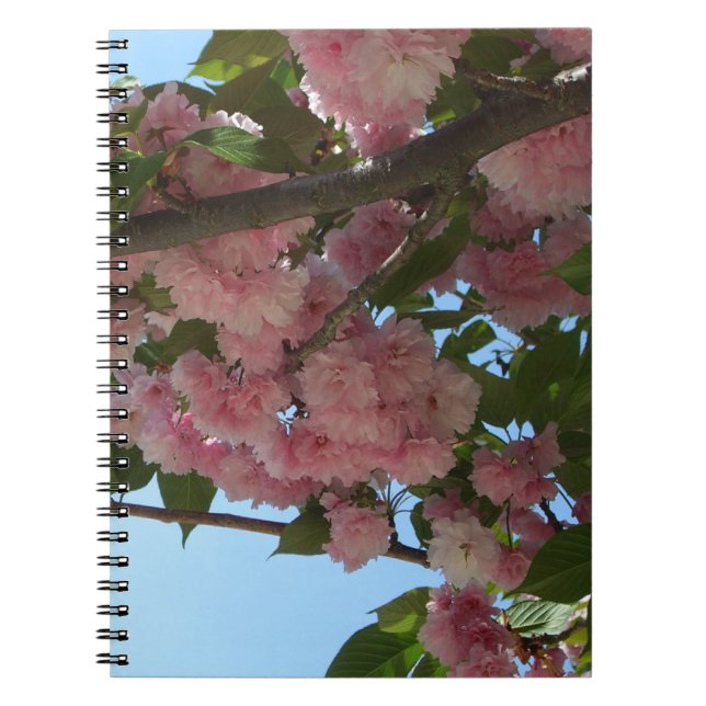 Dubbla Blossoming Cherry Träd IV Vår Anteckningsbok Med Spiral (Framsidan)