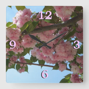 Dubbla Blossoming Cherry Träd IV Vår Fyrkantig Klocka