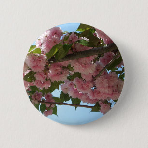 Dubbla Blossoming Cherry Träd IV Vår Knapp