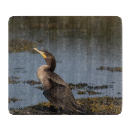 Dubbla bröstad skarv