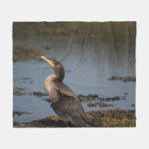 Dubbla bröstad skarv