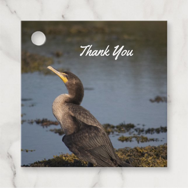 Dubbla bröstad skarv gåvor etiketter (Framsida)