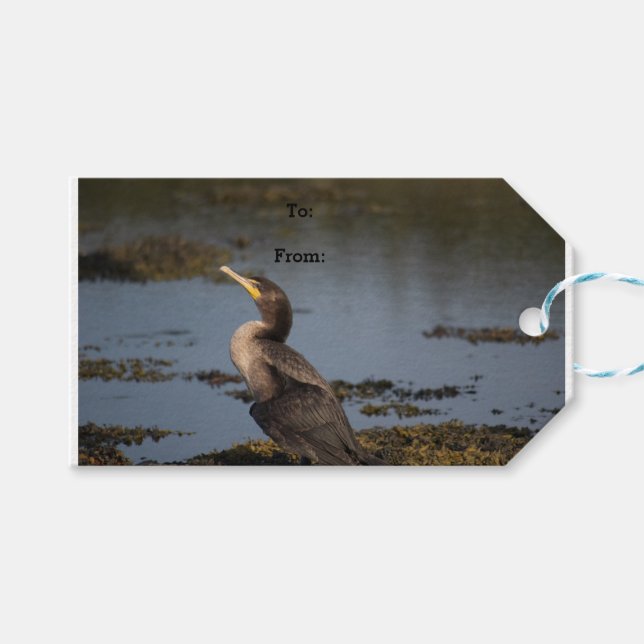 Dubbla bröstad skarv presentetikett (Framsidan (Horisontell))