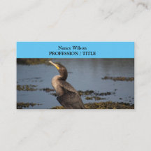 Dubbla bröstad skarv