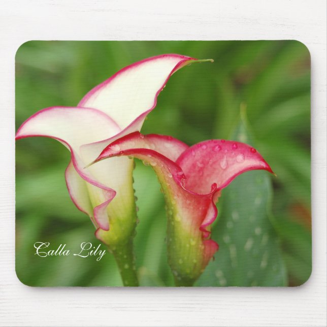 Dubbla Calla Lily Mousepad Musmatta (Framsidan)
