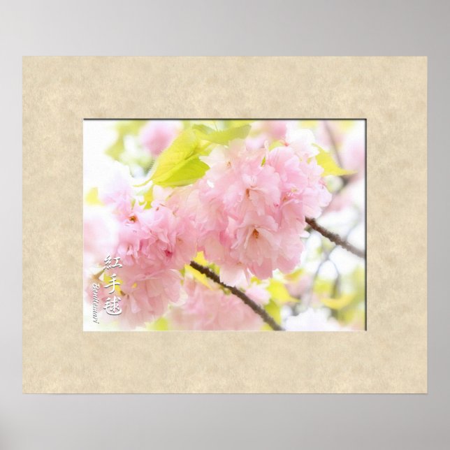 Dubbla Cherry Blommar: Benitemari Poster (Framsidan)