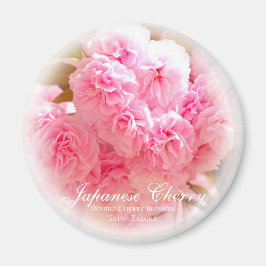 Dubbla Cherry Blommar: Sato-zakura Magnet