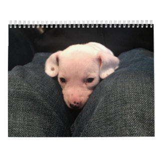 Dubbla Dachshund Calendar Kalender