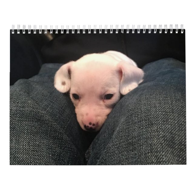 Dubbla Dachshund Calendar Kalender (Baksida)